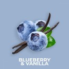 Blueberry & Vanilla 100 gram thumbnail