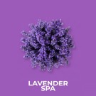 Berik dine lys med vår herlige Lavendel Duftvoks. Perfekt for en avslappende og beroligende atmosfære hjemme. thumbnail