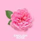 English Rose 100 gram thumbnail